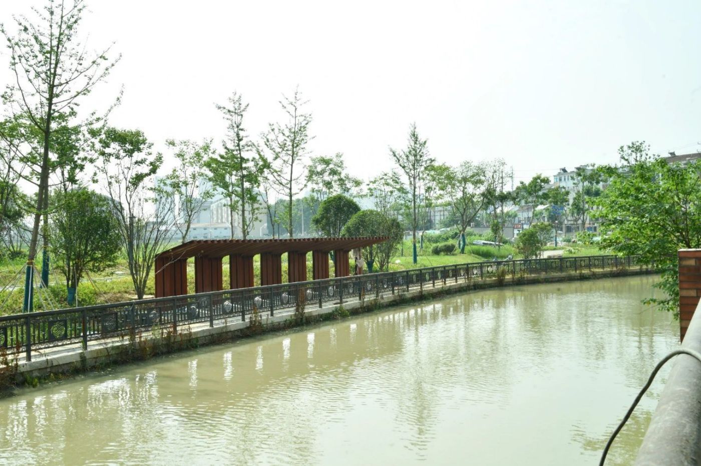 龙游河（京杭运河老线段-大通河）水环境治理工程一标段（2022.7.20）.jpg